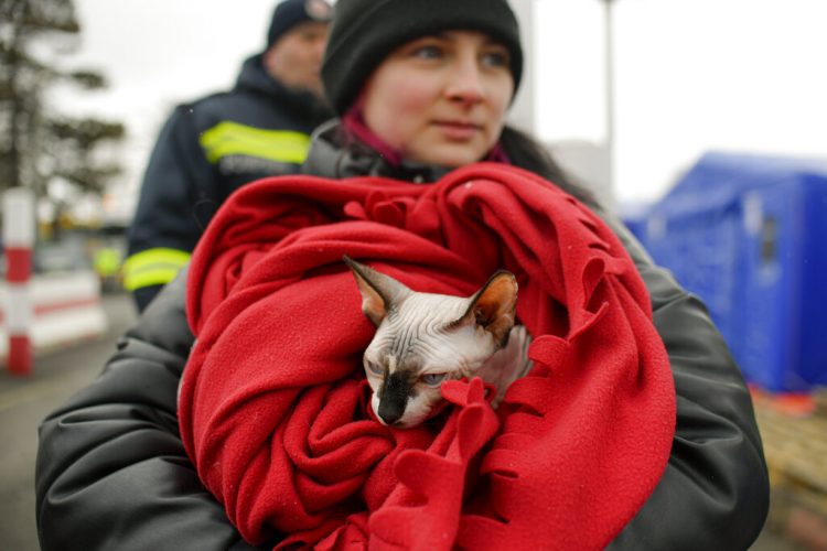 Refugees fleeing Ukraine grab documents, pets, some photos News